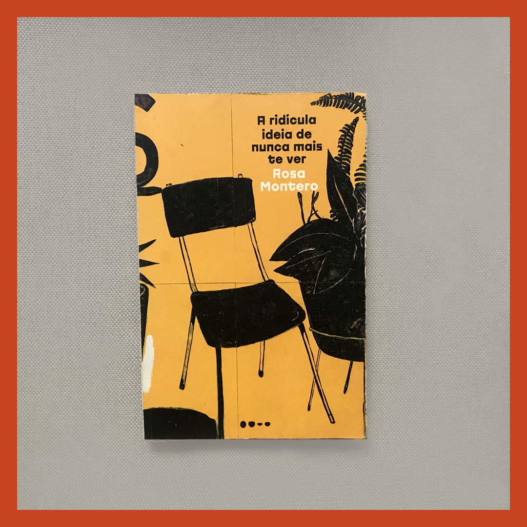 A ridícula ideia de nunca mais te ver