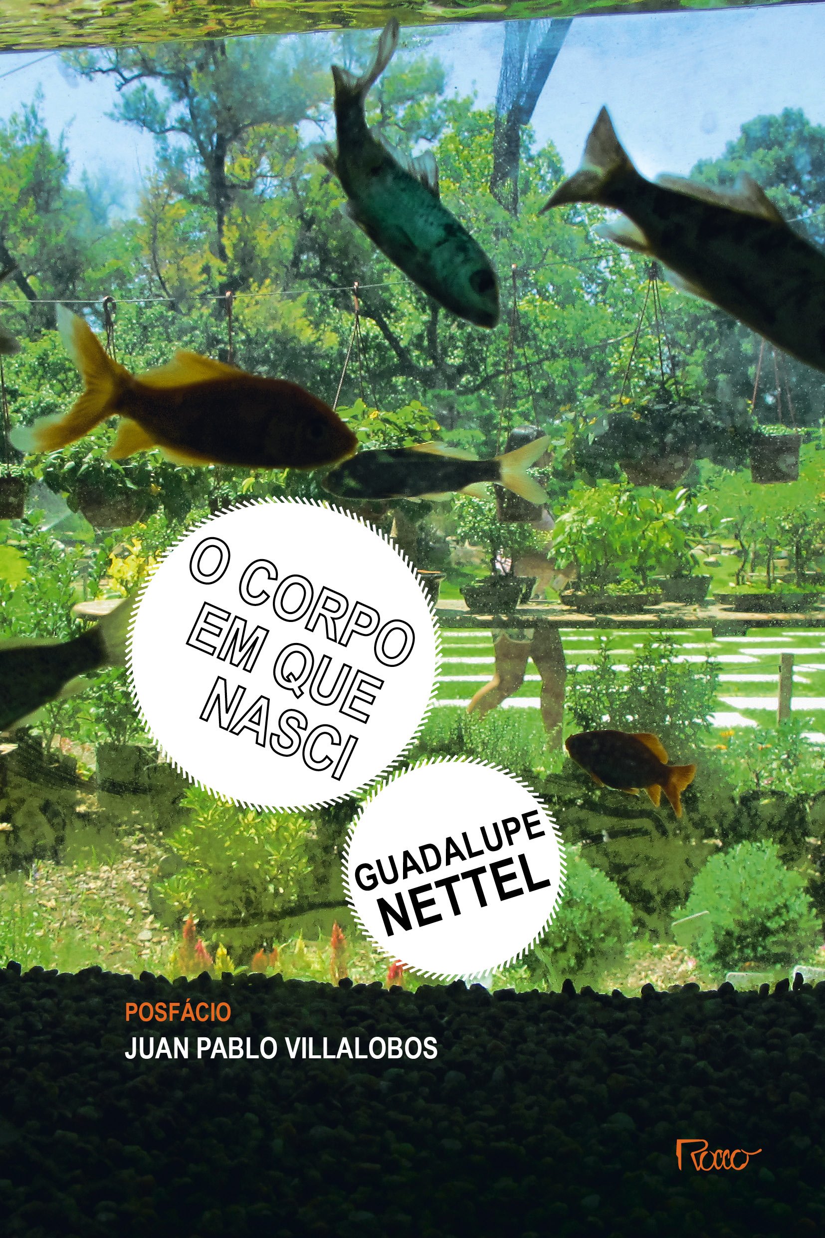 o corpo em que nasci